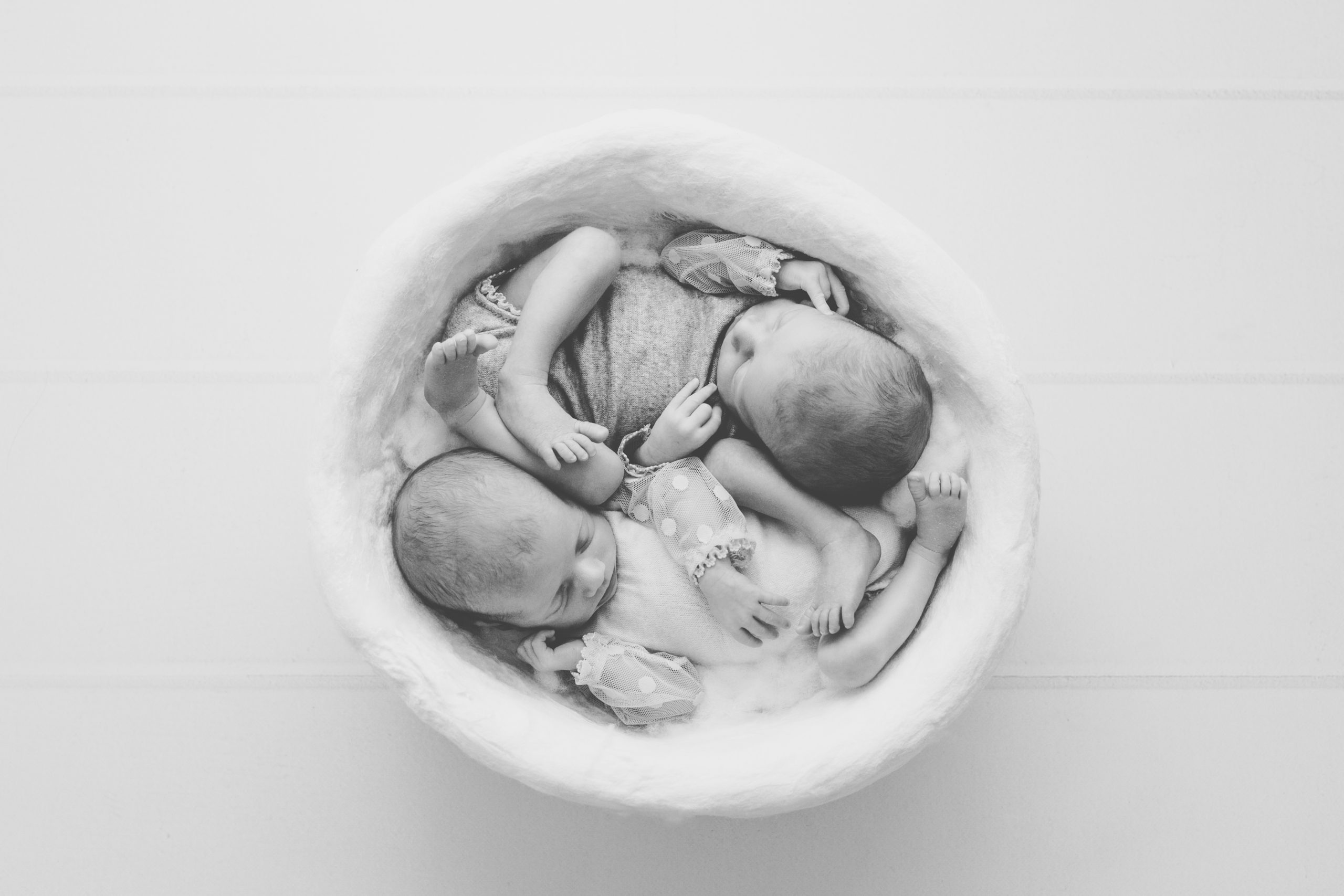 photo nouveau-né bébé jumeaux jumelles studio homeostasie photographie Liège