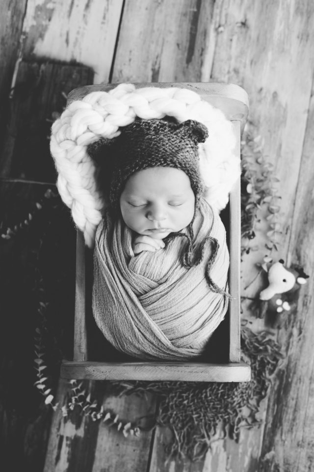 photo nouveau-né bébé ours lit bois homeostasie photographie Liège