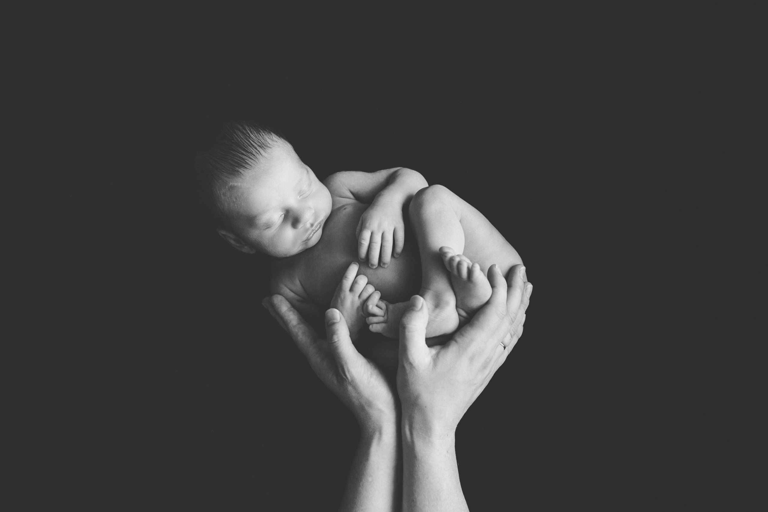 photo nouveau-né bébé main maman homeostasie photographie Liège