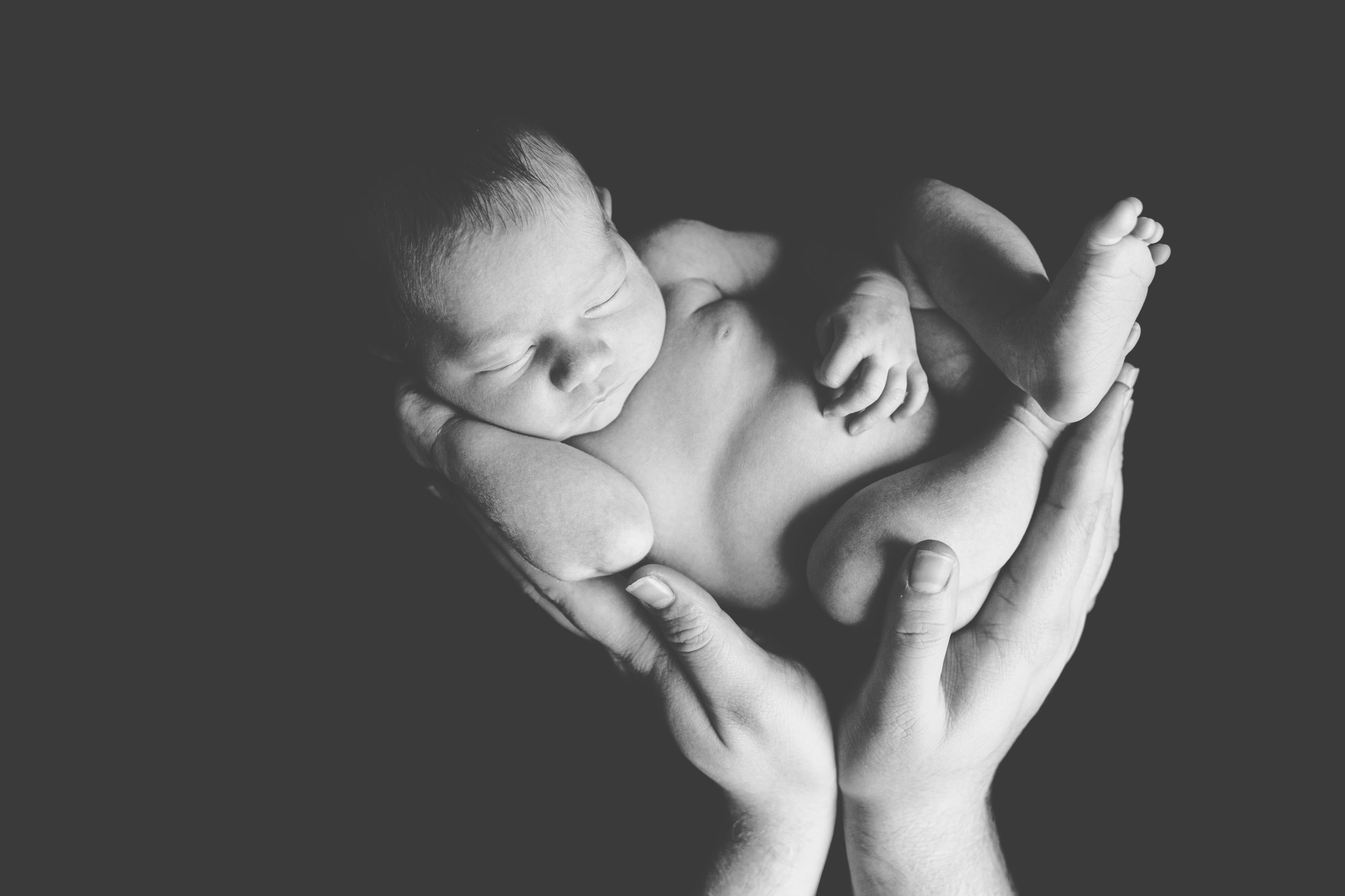 photo nouveau-né bébé lit laine homeophoto nouveau-né bébé main papa homeostasie photographie Liège
